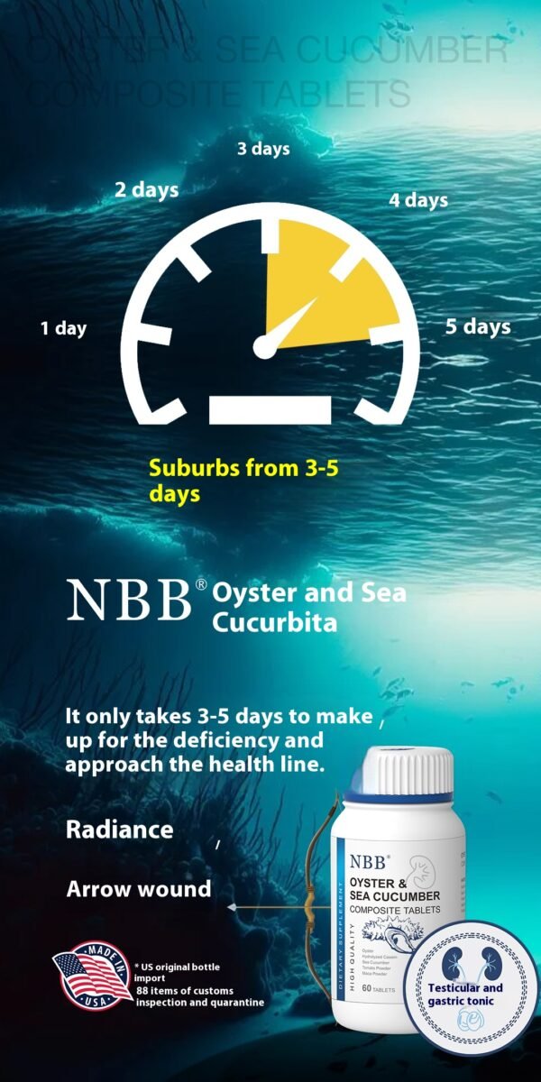 Rediscover Your Vitality with the Power of Oyster & Sea Cucumber - Image 3
